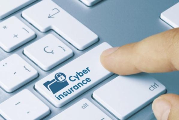 Обзор IT-Weekly: спрос на киберстрахование в РФ вырос на 60%, «Рексофт» создал новую структуру – «Рексофт.Лабс»
