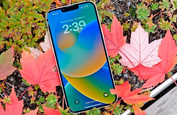 Обзор iPhone 14 Plus: большого смартфона Apple с оговорками и без переплат